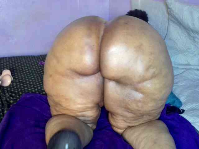 Big-Ass-Wilma webcam