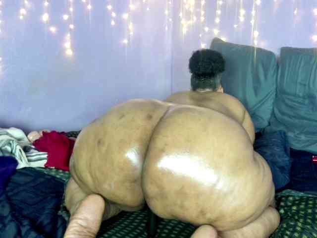 Big-Ass-Wilma webcam