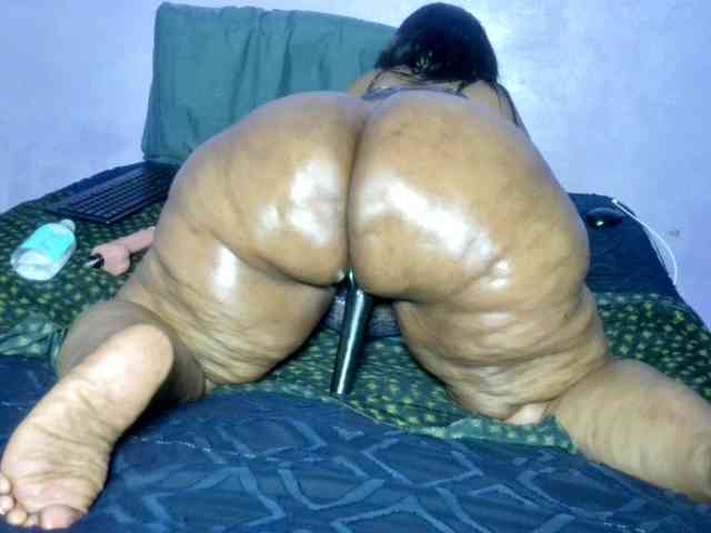 Big-Ass-Wilma webcam