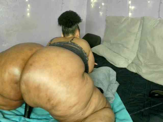 Big-Ass-Wilma webcam