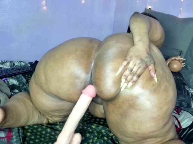 Big-Ass-Wilma webcam