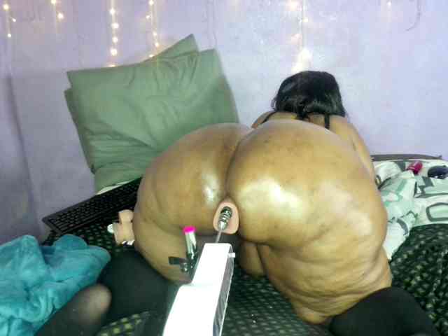 Big-Ass-Wilma webcam