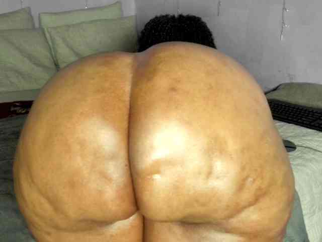 Big-Ass-Wilma webcam