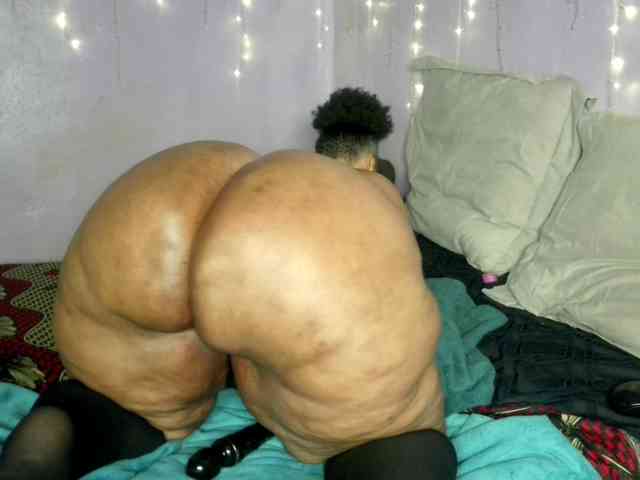 Big-Ass-Wilma webcam