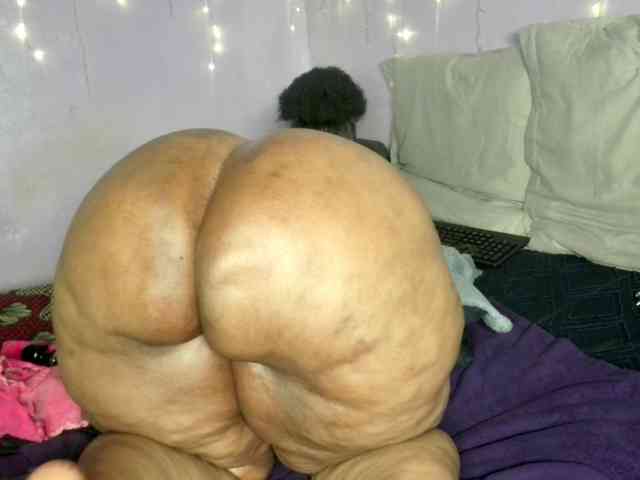 Big-Ass-Wilma webcam