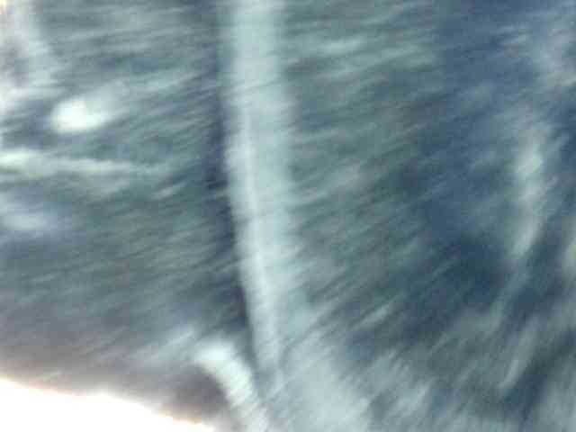 Big-Ass-Wilma webcam
