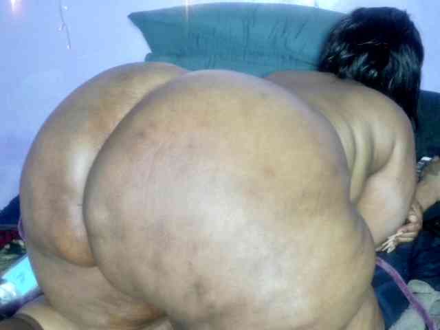 Big-Ass-Wilma webcam
