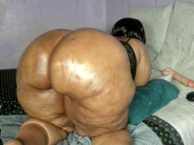 Big-Ass-Wilma Big-Ass-Wilma