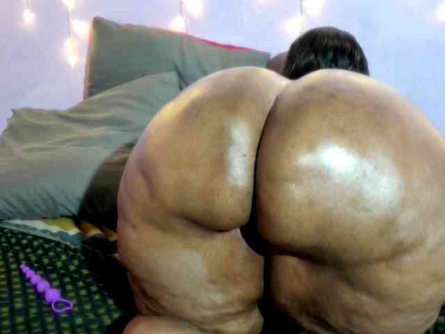Big-Ass-Wilma webcam