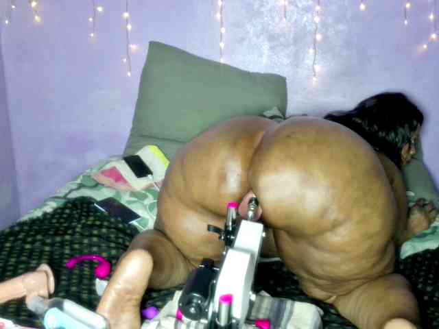 Big-Ass-Wilma webcam