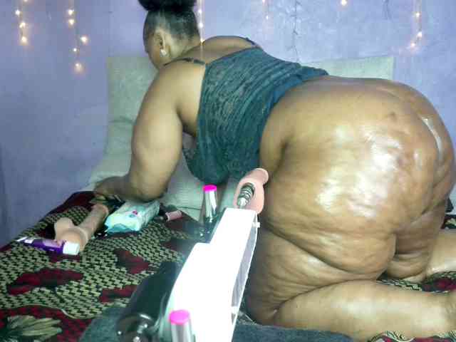 Big-Ass-Wilma webcam