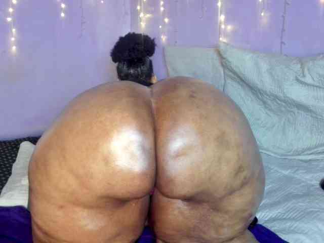 Big-Ass-Wilma webcam