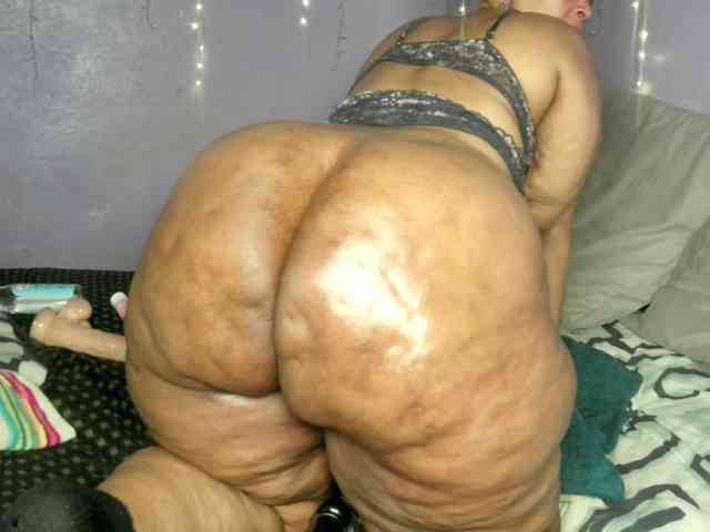 Big-Ass-Wilma webcam