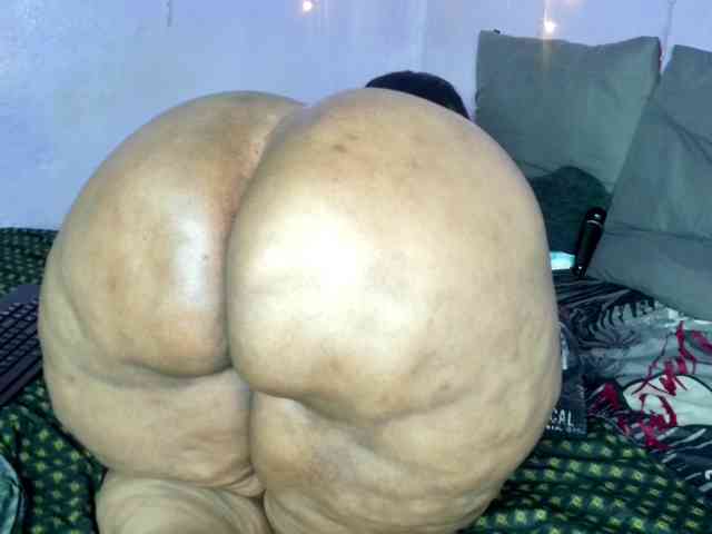 Big-Ass-Wilma webcam