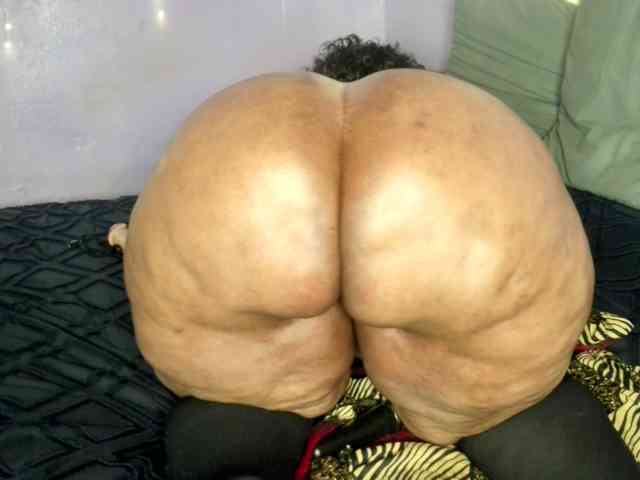 Big-Ass-Wilma webcam