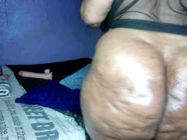 Big-Ass-Wilma webcam
