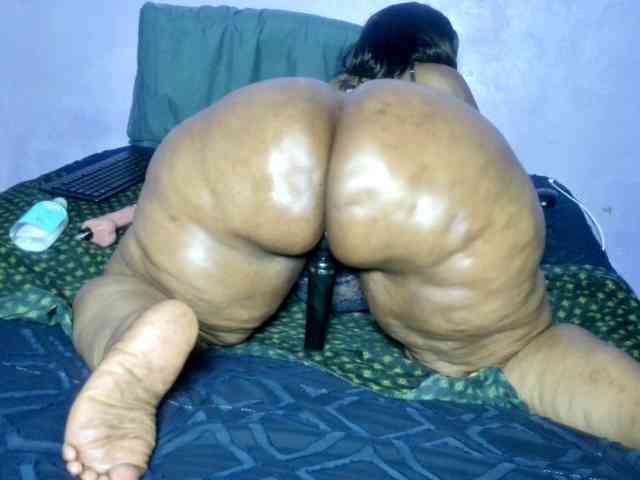 Big-Ass-Wilma webcam