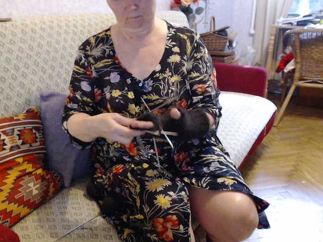 lisaemersson live cam on BongaCams