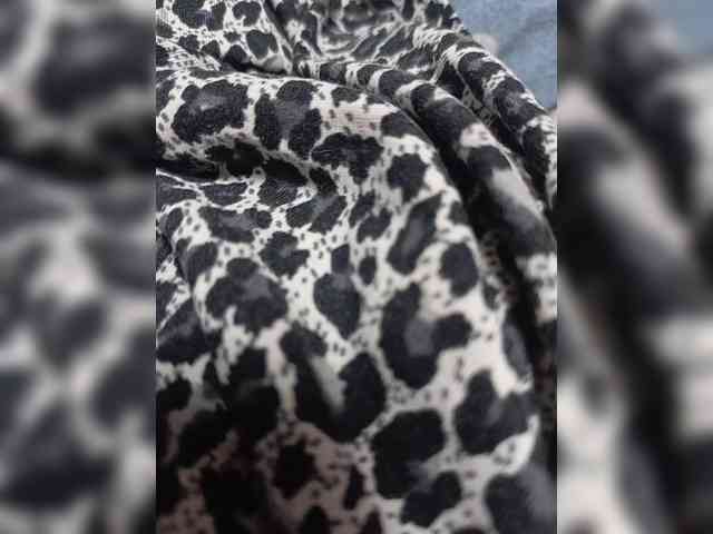 kiska2812 webcam