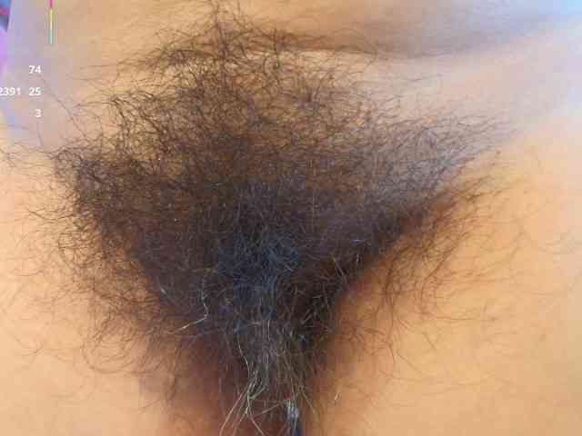 moxa-hot webcam