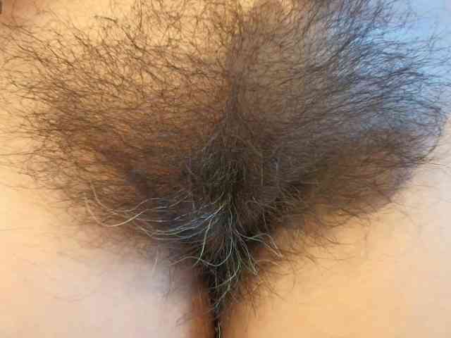 moxa-hot webcam