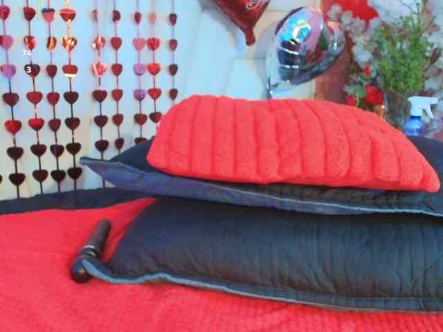 moxa-hot webcam