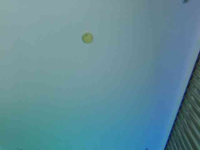 RitaRoter webcam