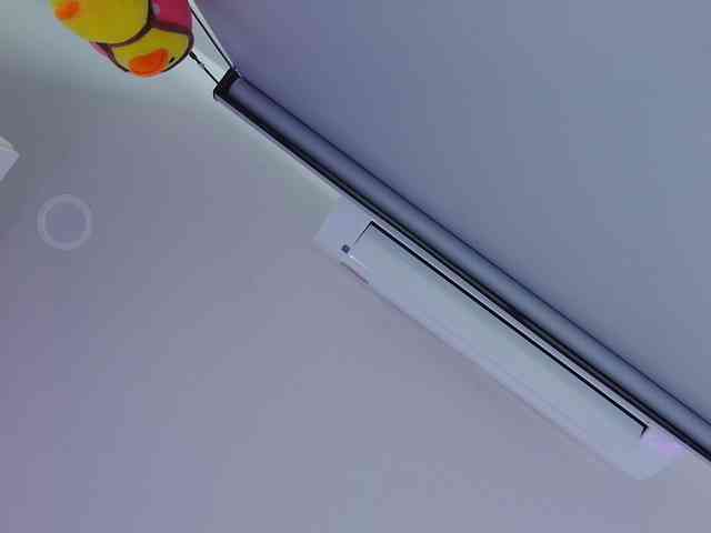 RitaRoter webcam