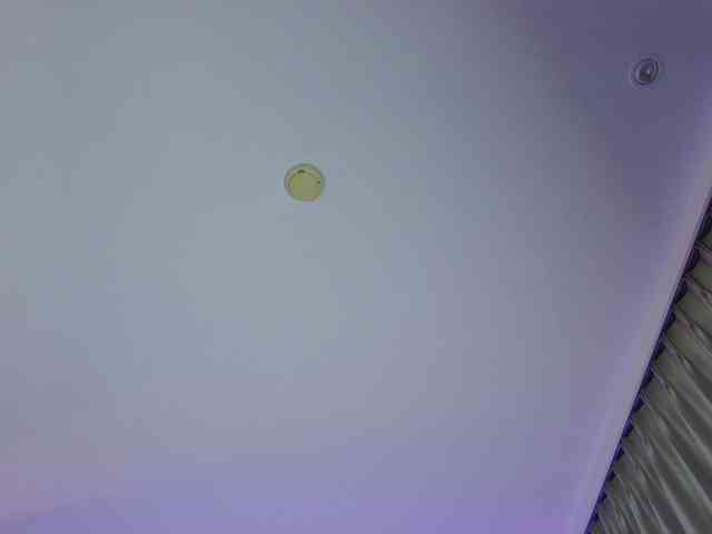 RitaRoter webcam