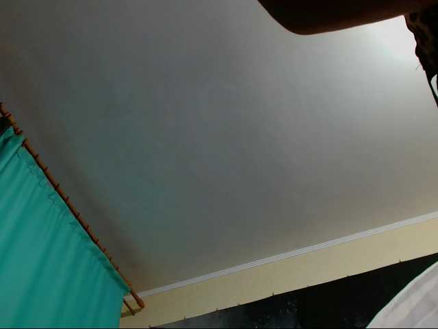 Monkey104 live cam on BongaCams