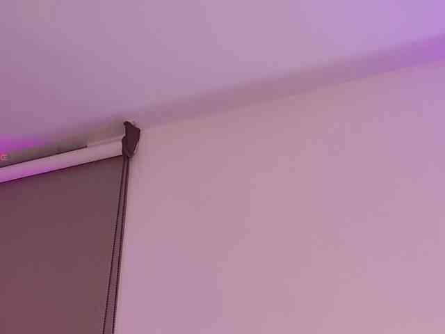 Kassia-Rogers webcam