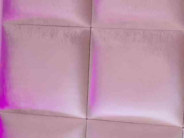 Kassia-Rogers webcam