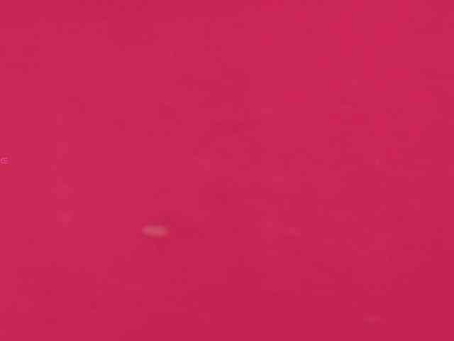Kassia-Rogers webcam