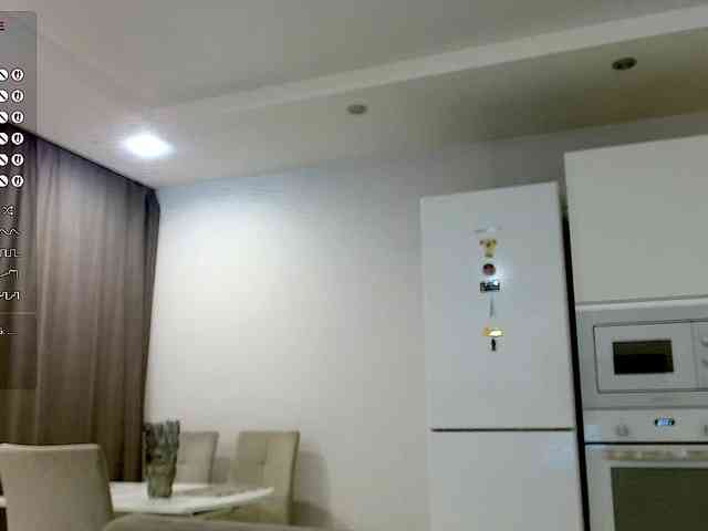 Yamajca webcam