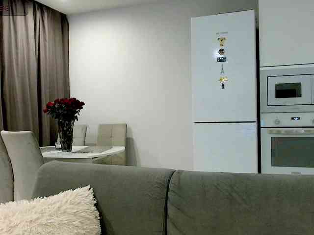 Yamajca webcam