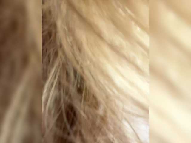 _IBlondy_