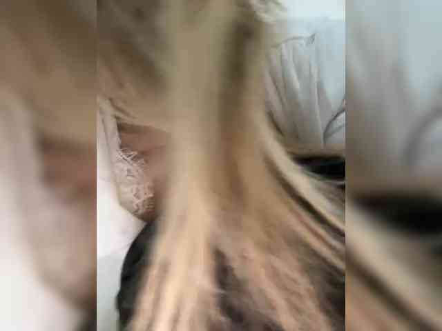 _IBlondy_