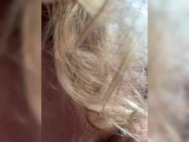_IBlondy_