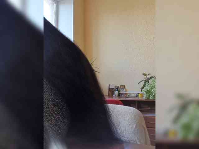 -France- webcam