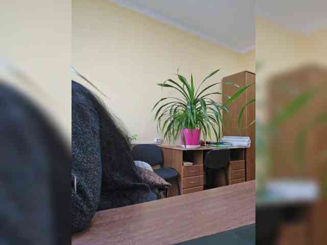 -France- webcam
