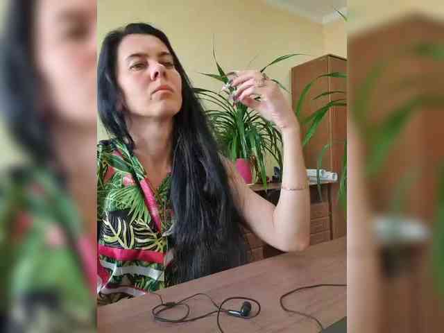 -France- webcam