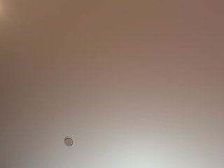 _Ellidi_