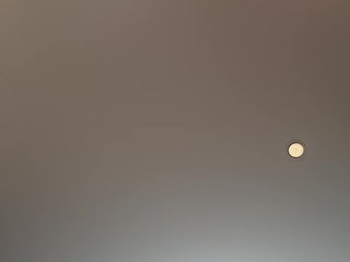 _Ellidi_