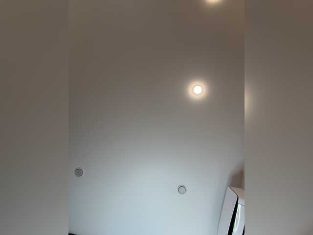 _Ellidi_ live cam