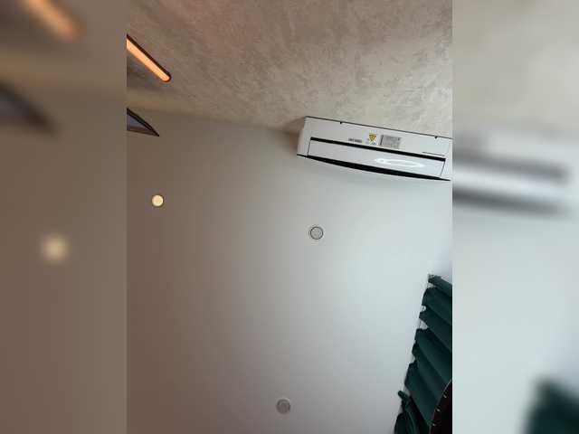Ellidi live cam