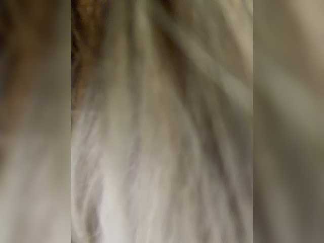 _Ellidi_