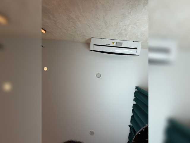Ellidi live cam