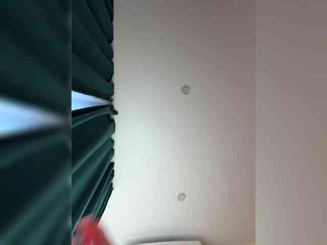 _Ellidi_ webcam