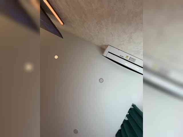 _Ellidi_ webcam
