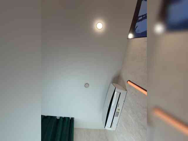 _Ellidi_ webcam